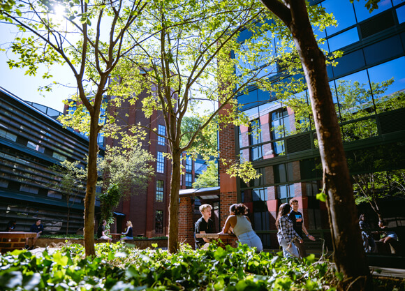 Students sit at tables or walk together under a canopy of trees in The Grove courtyard