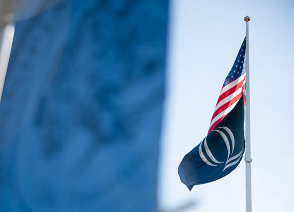 The American flag and Quinnipiac flag blowing in the wind