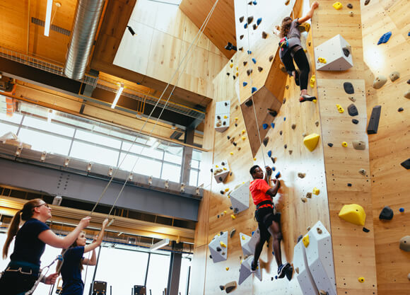 Students climb and belay on the two-story rock wall in the Recreation and Wellness Center